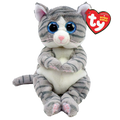 Chat tigré gris Mitzi