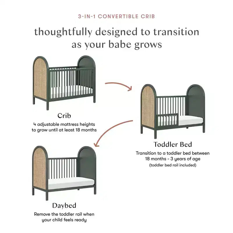Babyletto Bondi Cane 3-in-1 Convertible Crib with Toddler Bed Conversion Kit