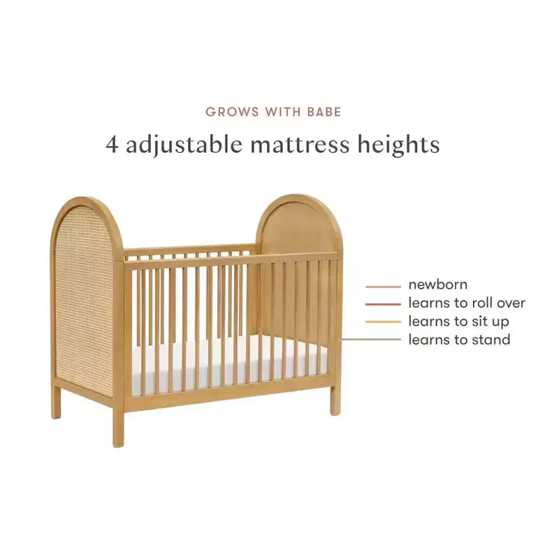 Babyletto Bondi Cane 3-in-1 Convertible Crib with Toddler Bed Conversion Kit