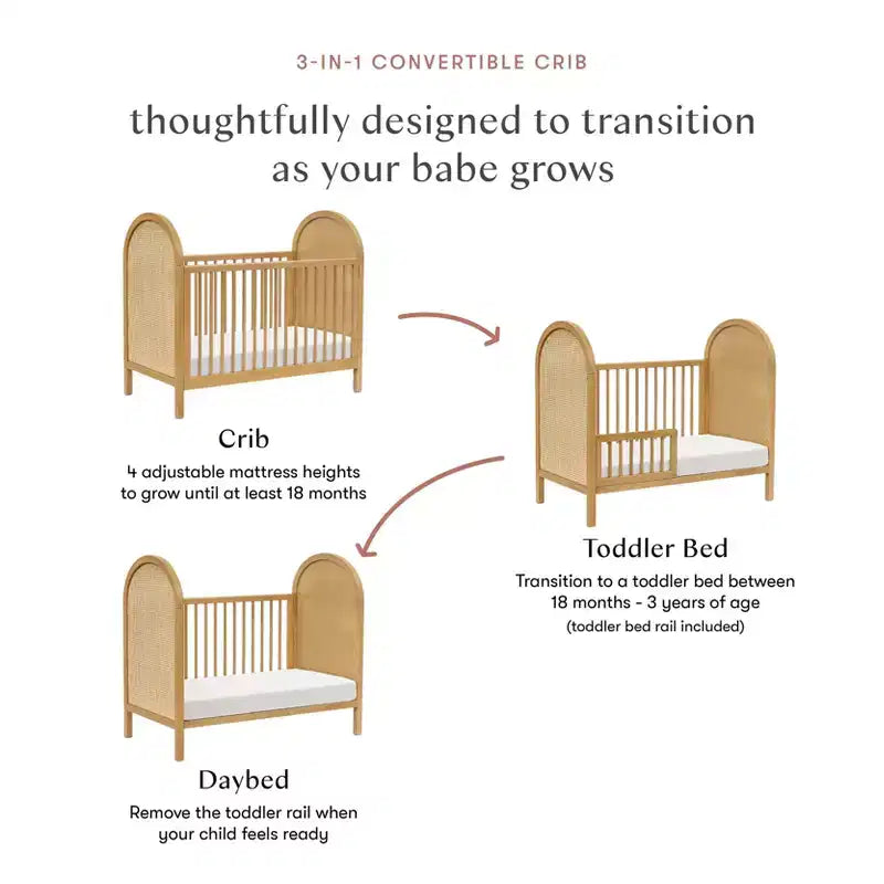 Babyletto Bondi Cane 3-in-1 Convertible Crib with Toddler Bed Conversion Kit