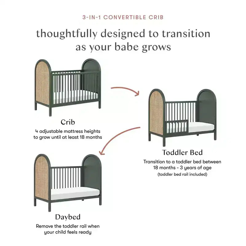 Babyletto Bondi Cane 3-in-1 Convertible Crib with Toddler Bed Conversion Kit