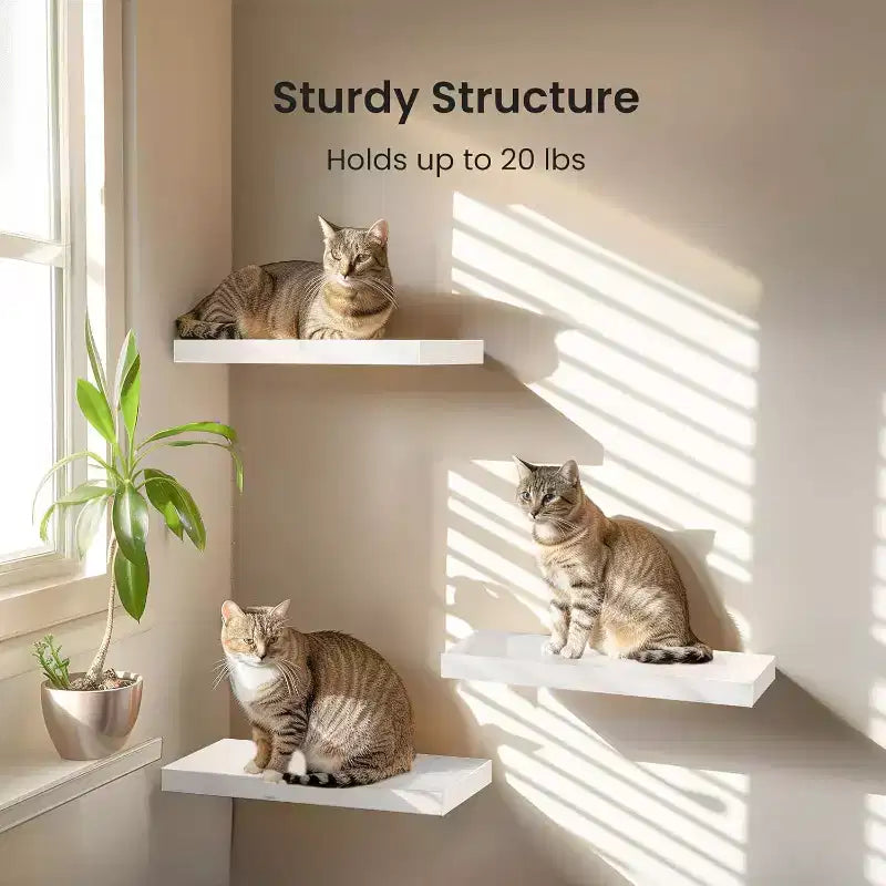 6 PCS Floating Shelf Set in Black, Wall Shelves with Hidden Brackets, Floating Wall Shelves, Suitable for Bedrooms, Bathrooms, Living Rooms, Kitchens