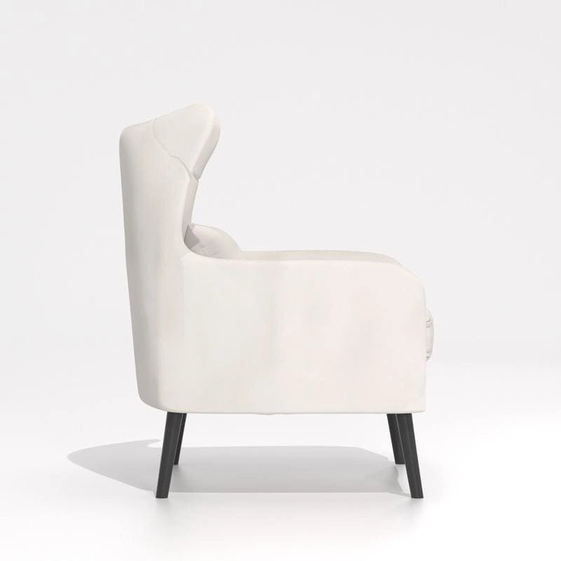 Velvet Accent Chair Comfy Oversized Reading For Living Room(Set of 2)