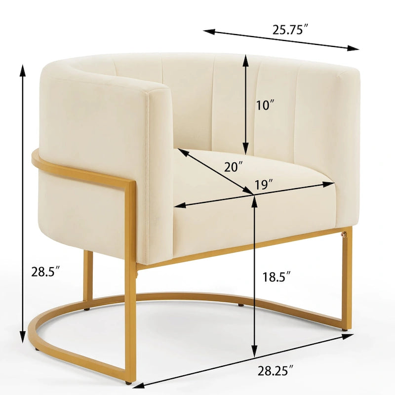 Mid-Century Accent Chair with Metal Frame & Curved Back Support
