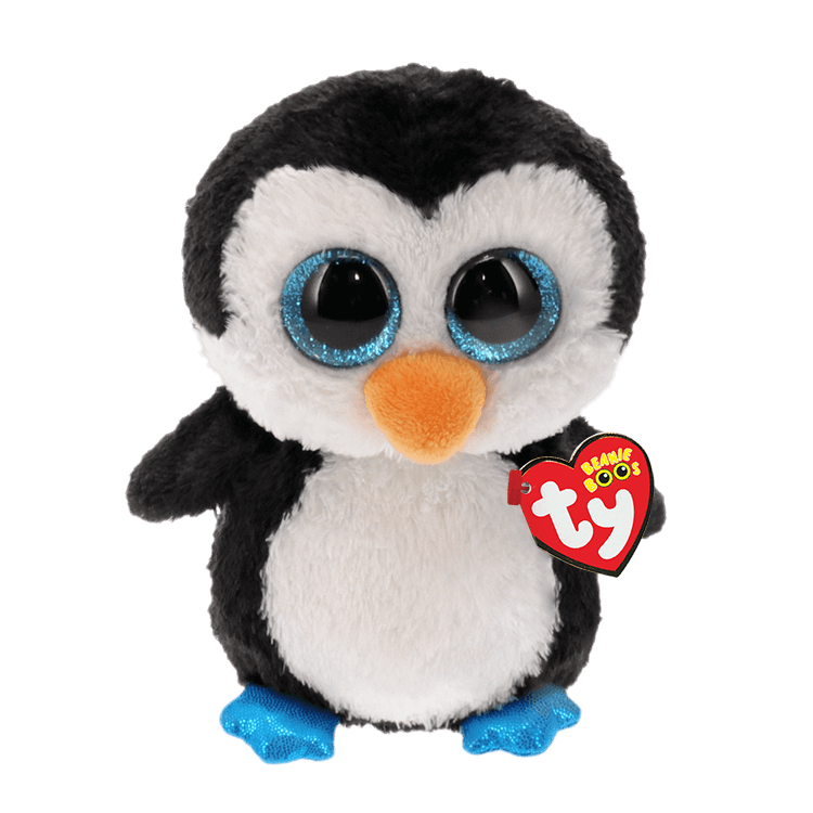 Schwarz-weißer Pinguin watschelt