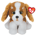 Barker Brown And White Dog