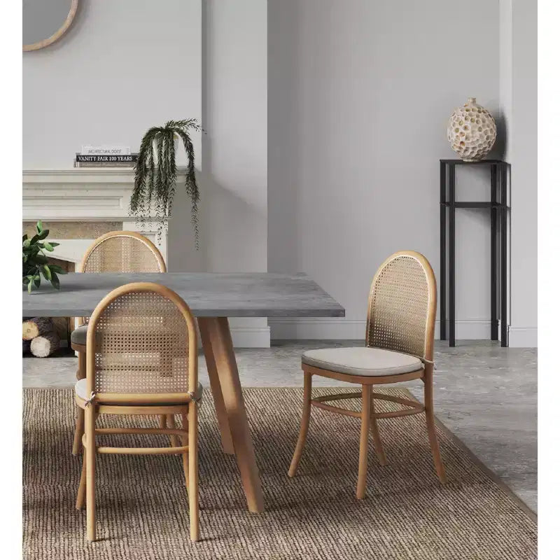 Set of 2 Paragon Dining Chairs with Gray Cushions - Manhattan Comfort
