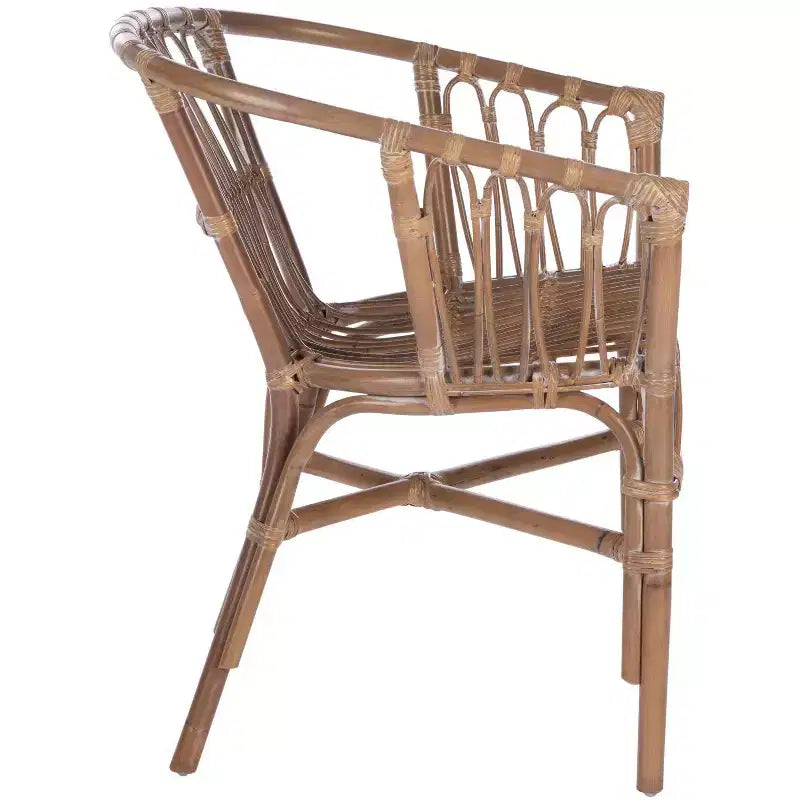 Adriana Rattan Accent Chair - ACH6505 - Set of 2 - Safavieh