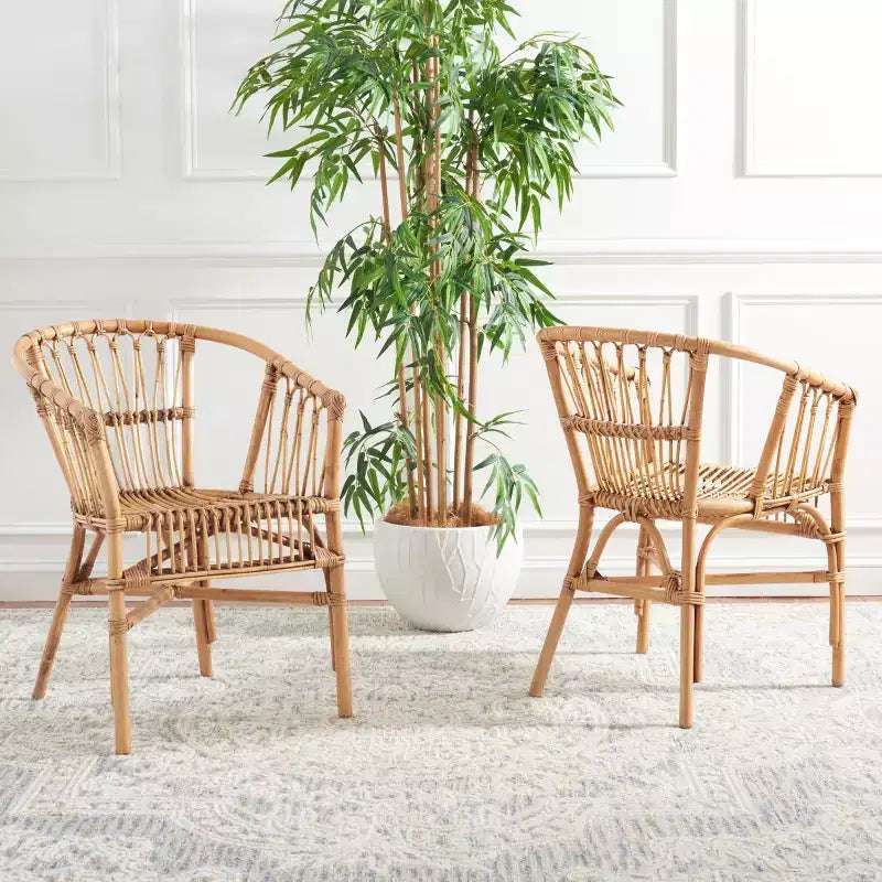 Adriana Rattan Accent Chair - ACH6505 - Set of 2 - Safavieh