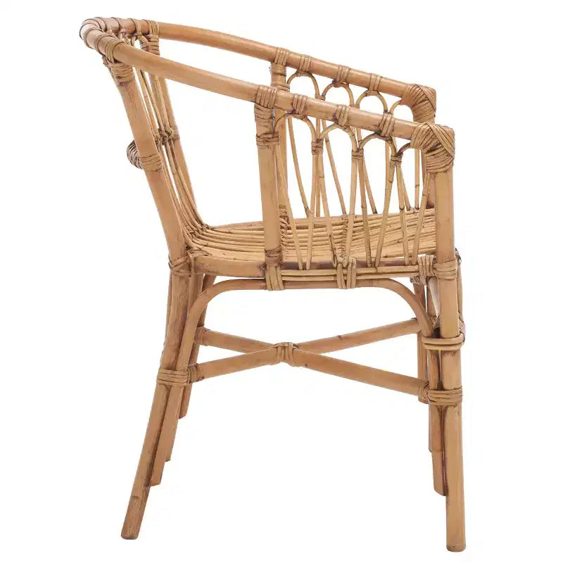 Adriana Rattan Accent Chair - ACH6505 - Set of 2 - Safavieh