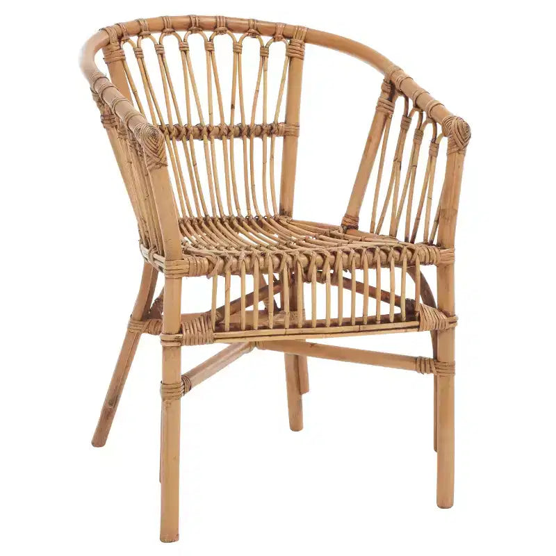 Adriana Rattan Accent Chair - ACH6505 - Set of 2 - Safavieh