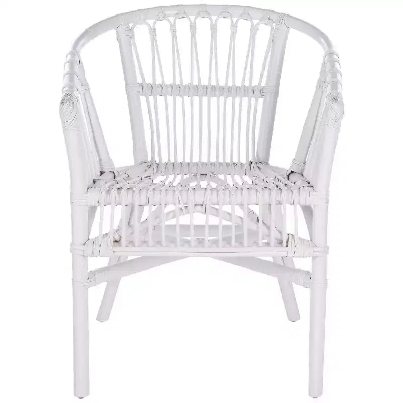 Adriana Rattan Accent Chair - ACH6505 - Set of 2 - Safavieh