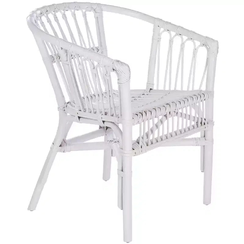Adriana Rattan Accent Chair - ACH6505 - Set of 2 - Safavieh