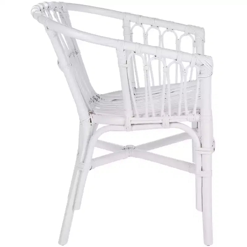 Adriana Rattan Accent Chair - ACH6505 - Set of 2 - Safavieh