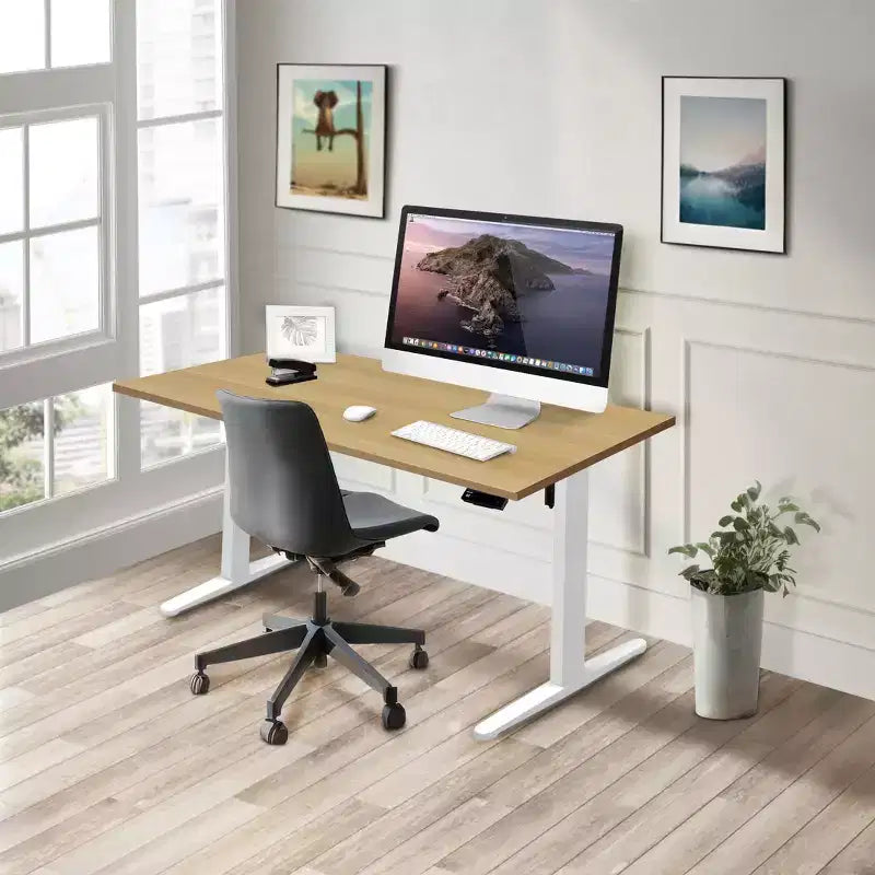 Mount-It! Electric Sit-Stand Desk with Tabletop - White / Maple