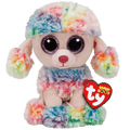 Caniche multicolore arc-en-ciel