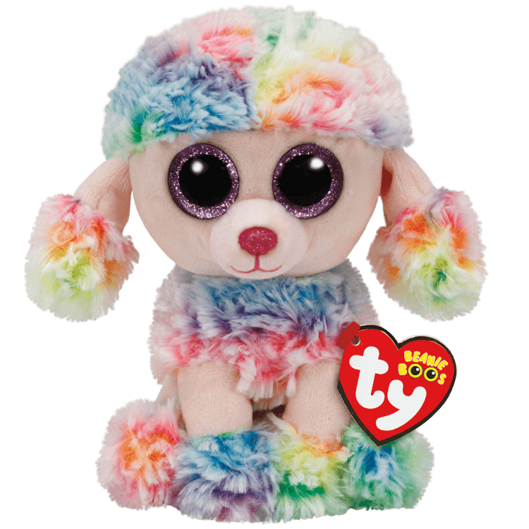 Caniche multicolore arc-en-ciel