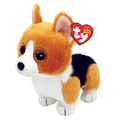 Chien Corgi Colin