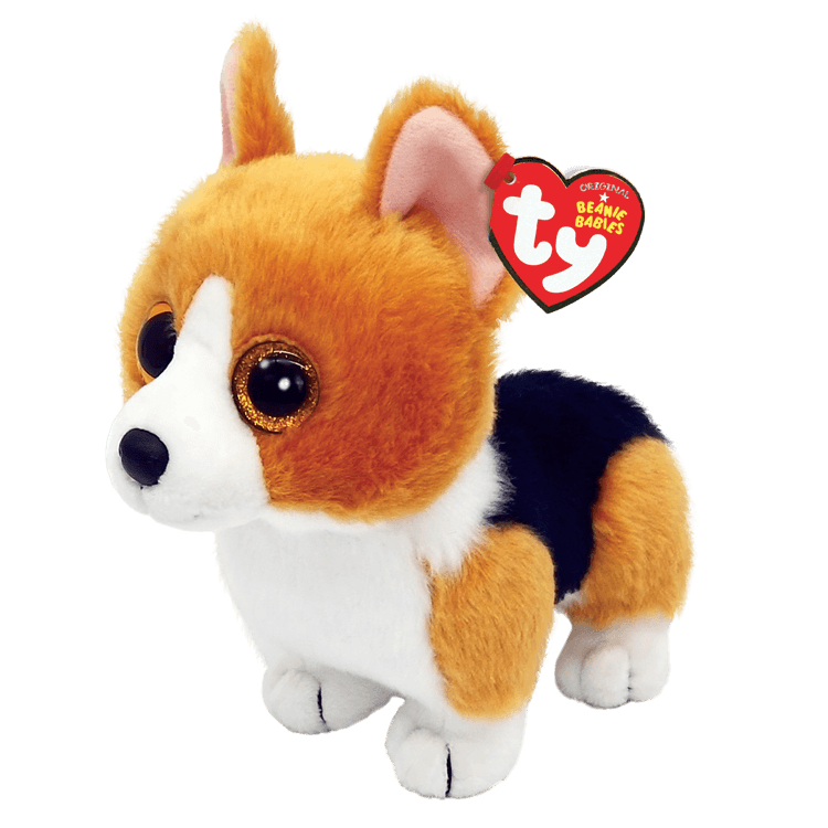 Chien Corgi Colin